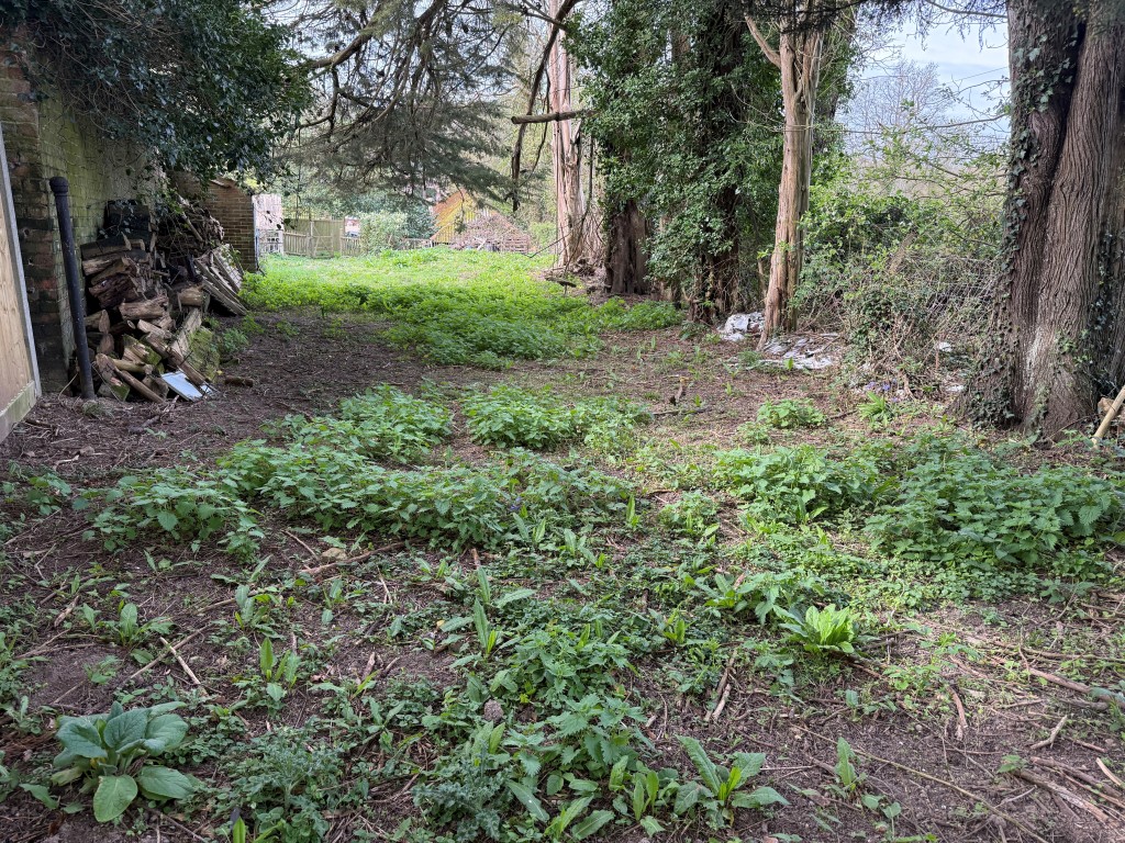 Lot: 35 - STABLES AND LAND WITH PLANNING IN SOUGHT AFTER LOCATION - View from Boundary